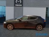 Mazda 3 bei Reisemobile.expert - Abbildung (3 / 15)