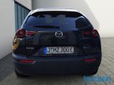 Mazda MX-30 bei Reisemobile.expert - Abbildung (4 / 15)