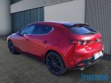 Mazda 3 bei Reisemobile.expert - Abbildung (4 / 15)