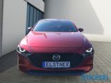 Mazda 3 bei Reisemobile.expert - Abbildung (2 / 15)