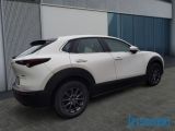 Mazda CX-30 bei Reisemobile.expert - Abbildung (4 / 6)