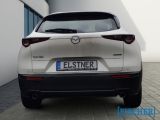 Mazda CX-30 bei Reisemobile.expert - Abbildung (3 / 6)