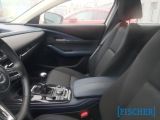 Mazda CX-30 bei Reisemobile.expert - Abbildung (5 / 6)