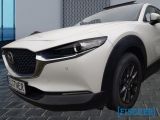 Mazda CX-30 bei Reisemobile.expert - Abbildung (2 / 6)