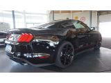 Ford Mustang bei Reisemobile.expert - Abbildung (7 / 15)