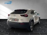 Mazda MX-30 bei Reisemobile.expert - Abbildung (4 / 15)