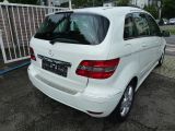 Mercedes-Benz B-Klasse bei Reisemobile.expert - Abbildung (5 / 10)