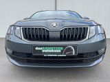 Skoda Octavia bei Reisemobile.expert - Abbildung (4 / 15)