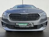 Skoda Fabia bei Reisemobile.expert - Abbildung (4 / 15)