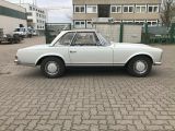 Mercedes-Benz 230 bei Reisemobile.expert - Abbildung (11 / 15)