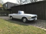 Mercedes-Benz 230 bei Reisemobile.expert - Abbildung (2 / 15)