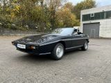 TVR Tasmin bei Reisemobile.expert - Abbildung (2 / 15)