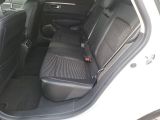 Renault Talisman bei Reisemobile.expert - Abbildung (14 / 15)