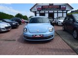 VW Beetle bei Reisemobile.expert - Abbildung (2 / 15)