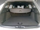 Ford Focus ST bei Reisemobile.expert - Abbildung (10 / 13)