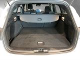 Ford Focus ST bei Reisemobile.expert - Abbildung (14 / 15)