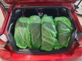 Seat Ibiza bei Reisemobile.expert - Abbildung (14 / 15)