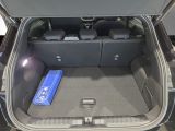 Ford Puma bei Reisemobile.expert - Abbildung (14 / 15)