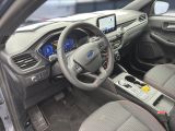 Ford Kuga bei Reisemobile.expert - Abbildung (12 / 15)