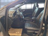 Ford Puma bei Reisemobile.expert - Abbildung (8 / 15)