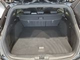 Ford Focus ST bei Reisemobile.expert - Abbildung (14 / 15)