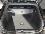 Ford Focus ST bei Reisemobile.expert - Abbildung (14 / 15)