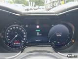 Alfa Romeo Tonale bei Reisemobile.expert - Abbildung (13 / 15)
