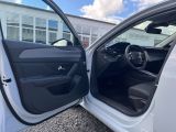 Peugeot 308 bei Reisemobile.expert - Abbildung (11 / 15)