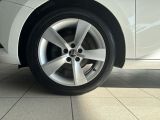 Skoda Fabia bei Reisemobile.expert - Abbildung (5 / 15)