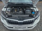Skoda Kamiq bei Reisemobile.expert - Abbildung (15 / 15)