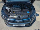 Skoda Octavia bei Reisemobile.expert - Abbildung (15 / 15)