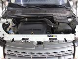 Land Rover Range Rover Evoque bei Reisemobile.expert - Abbildung (12 / 15)