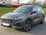Ford Kuga bei Reisemobile.expert - Abbildung (2 / 15) Ford Kuga bei Reisemobile.expert - Abbildung (2 / 15)