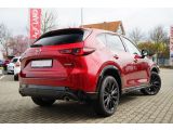 Mazda CX 5 bei Reisemobile.expert - Abbildung (3 / 15)