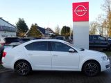 Skoda Octavia bei Reisemobile.expert - Abbildung (4 / 15)