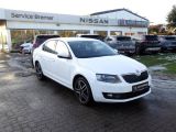 Skoda Octavia bei Reisemobile.expert - Abbildung (2 / 15)