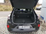 Ford Puma bei Reisemobile.expert - Abbildung (8 / 15)