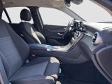 Mercedes-Benz GLC 220d 4M bei Reisemobile.expert - Abbildung (15 / 15)