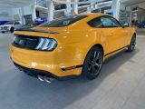 Ford Mustang bei Reisemobile.expert - Abbildung (4 / 15)