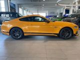 Ford Mustang bei Reisemobile.expert - Abbildung (3 / 15)