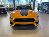 Ford Mustang bei Reisemobile.expert - Abbildung (2 / 15)