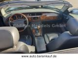 Jaguar XK bei Reisemobile.expert - Abbildung (5 / 15)