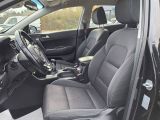 Kia Sportage bei Reisemobile.expert - Abbildung (11 / 15)