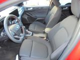 Ford Focus bei Reisemobile.expert - Abbildung (12 / 14)