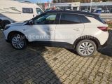 Opel Grandland X bei Reisemobile.expert - Abbildung (6 / 11)