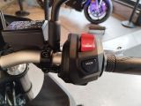 Yamaha MT bei Reisemobile.expert - Abbildung (8 / 15)