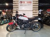 Yamaha XSR bei Reisemobile.expert - Abbildung (4 / 15)