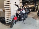 Yamaha XSR bei Reisemobile.expert - Abbildung (5 / 15)