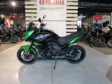 Kawasaki Versys bei Reisemobile.expert - Abbildung (4 / 15)