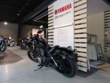 Yamaha XV bei Reisemobile.expert - Abbildung (3 / 15)